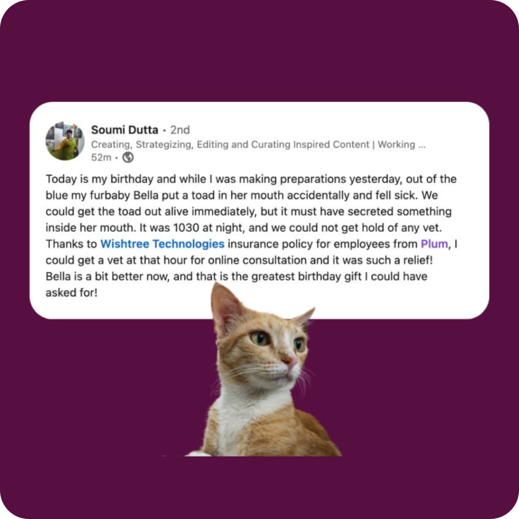 Vet consultation testimonial